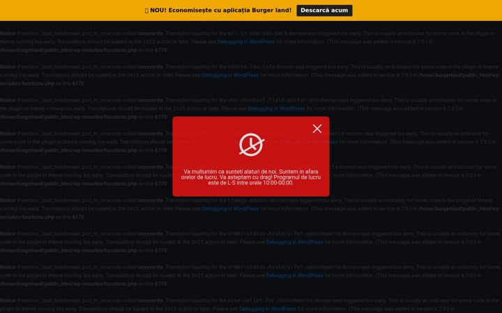 Screenshot of burgerland.ro