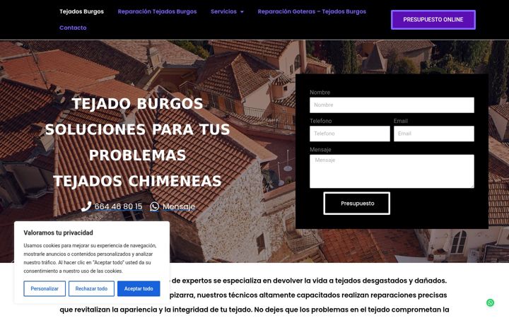 Screenshot of burgostejados.es