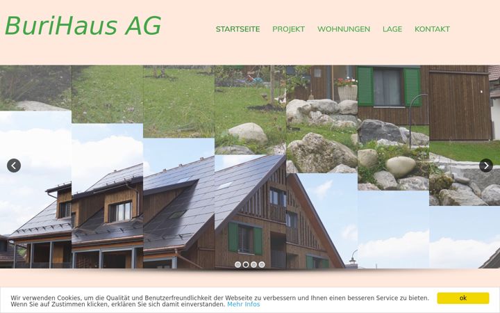 Screenshot of burihausag.ch