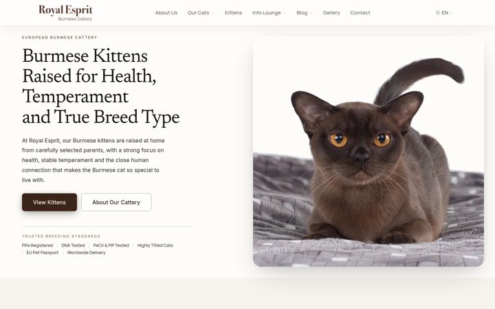 Screenshot of burmese-cats.com