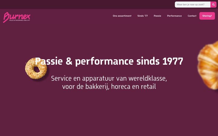 Screenshot of burnex.eu