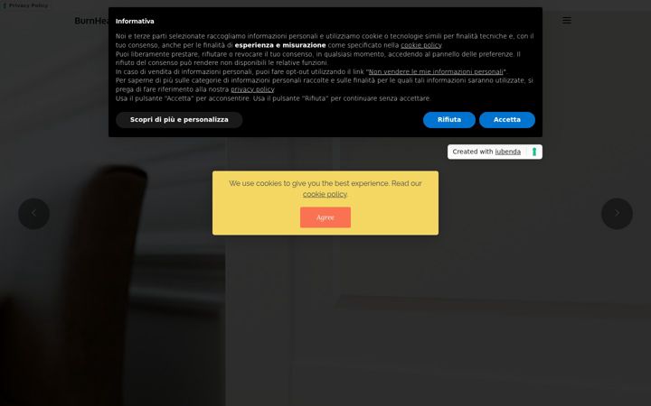 Screenshot of burnhead.net