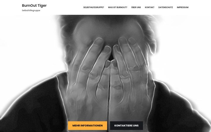 Skjermbilde av burnout-tiger.de