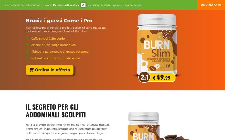 Screenshot of burnslim.it