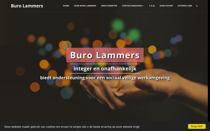 Screenshot of buro-lammers.com