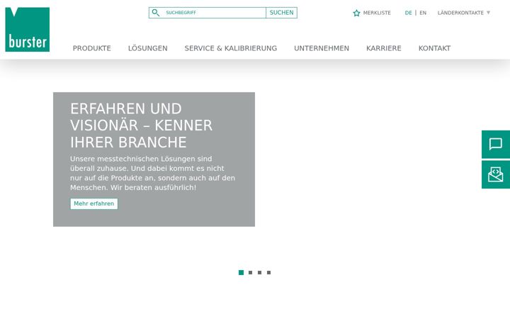 Screenshot of burster.de