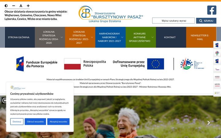Screenshot ta' bursztynowypasaz.pl