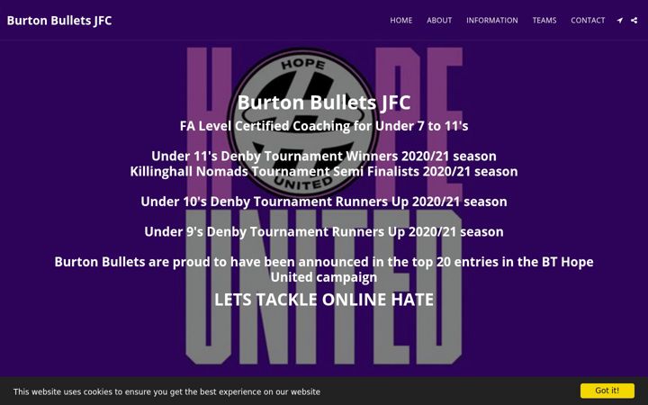 Screenshot of burtonbullets.co.uk