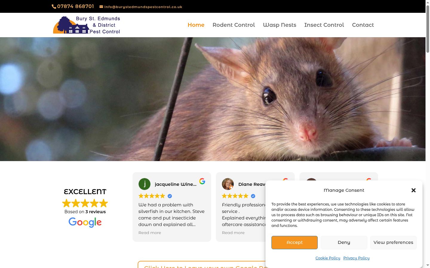 Screenshot of the consent banner shown before any interaction