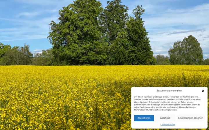Screenshot of bus-meckenbeuren.de