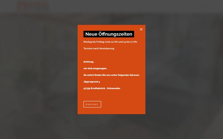 Zrzut ekranu busch-fliesen.de