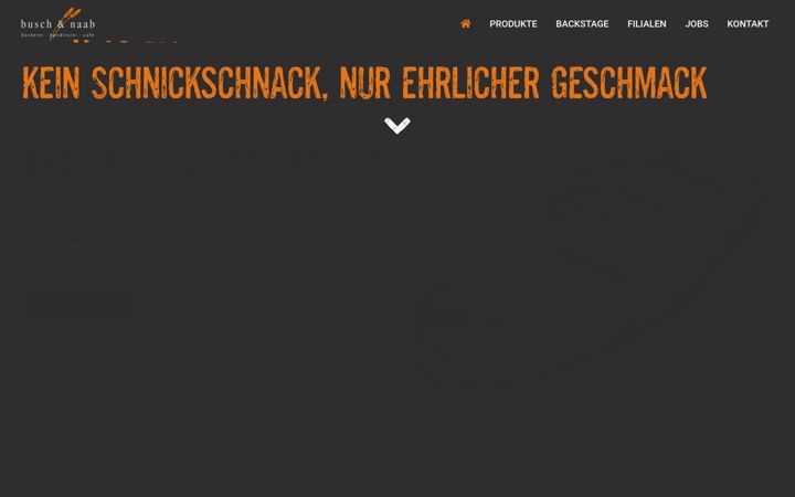 Zrzut ekranu busch-naab.de