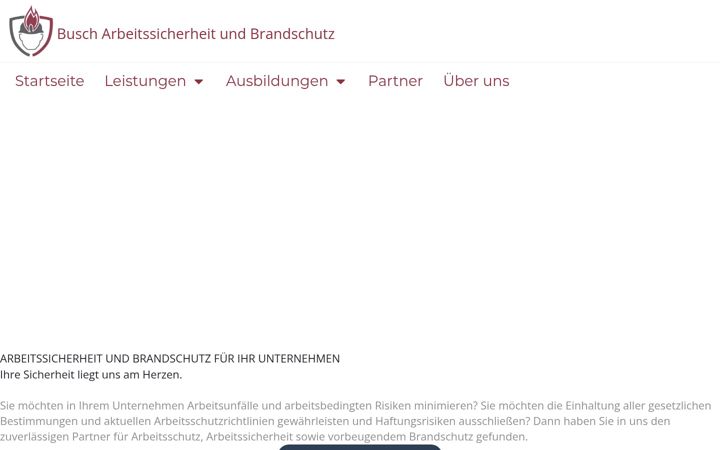 Screenshot of busch-sicherheit.de
