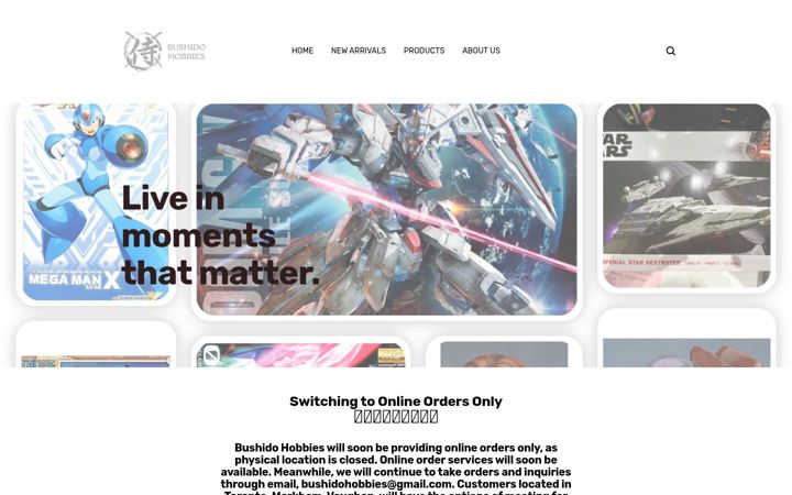 Screenshot of bushidohobbies.com