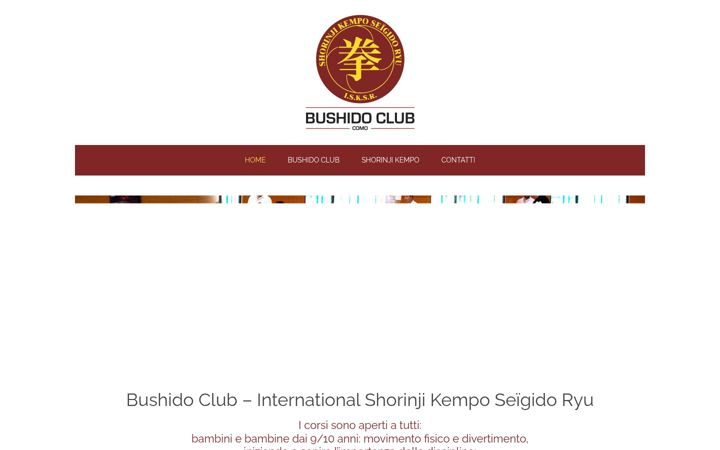 Screenshot of bushidosk.it