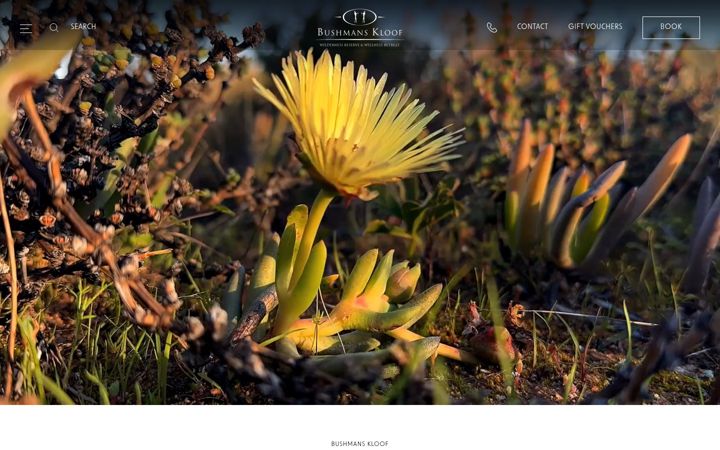 Ekraanipilt saidist bushmanskloof.co.za