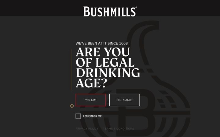 Screenshot of bushmills.eu
