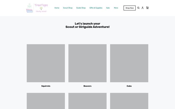 Screenshot of bushywoodtreetops.co.uk