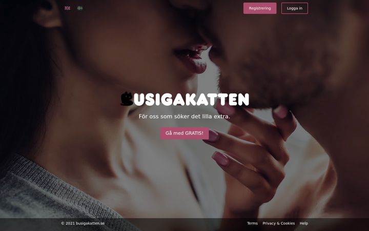 Screenshot of busigakatten.se