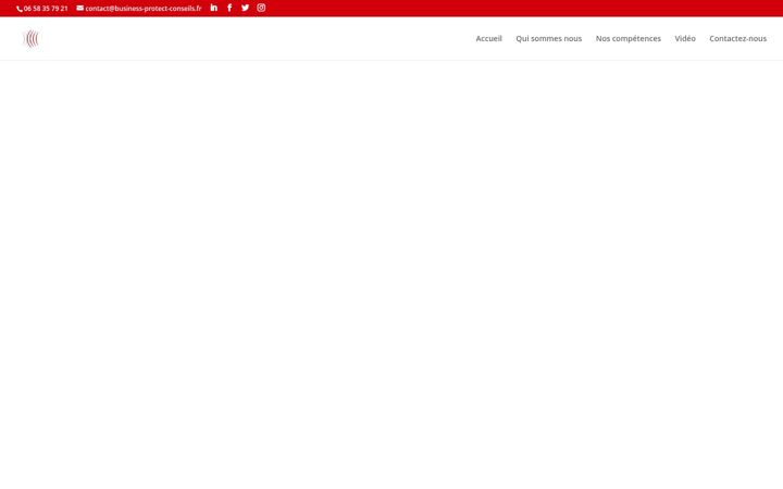 Screenshot von business-protect-conseils.fr