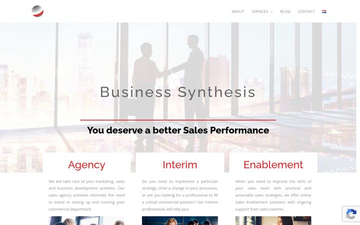 Screenshot of business-synthesis.com