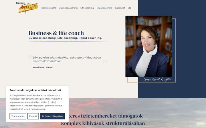 Screenshot of businessartchitect.com