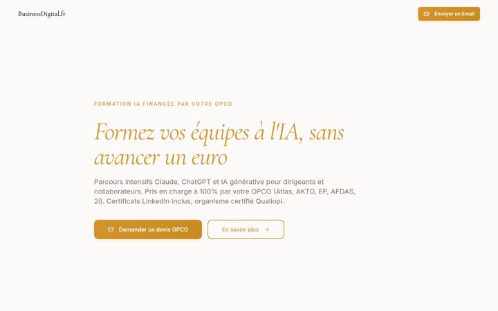 Zrzut ekranu businessdigital.fr