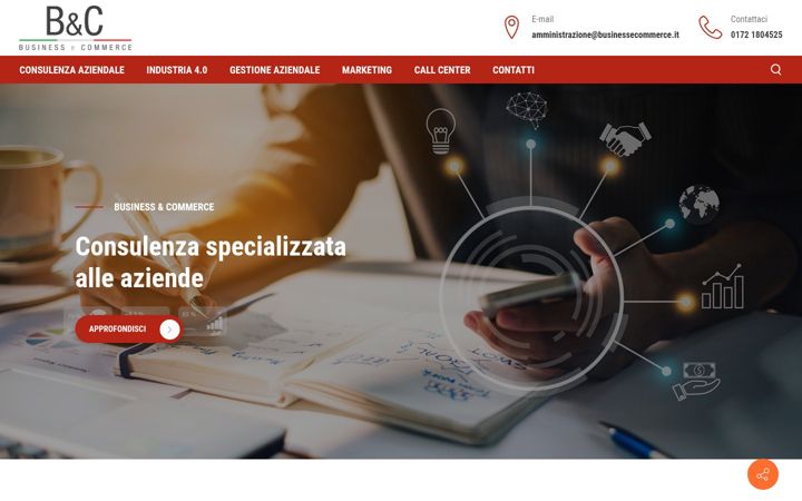 Screenshot of businessecommerce.it