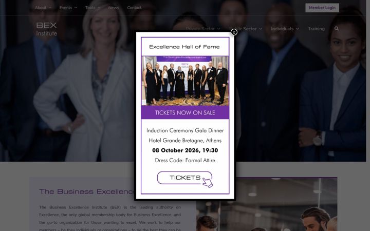 Screenshot ta' businessexcellence.org
