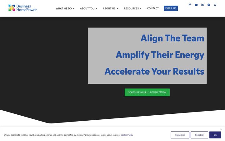 Screenshot of businesshorsepower.com