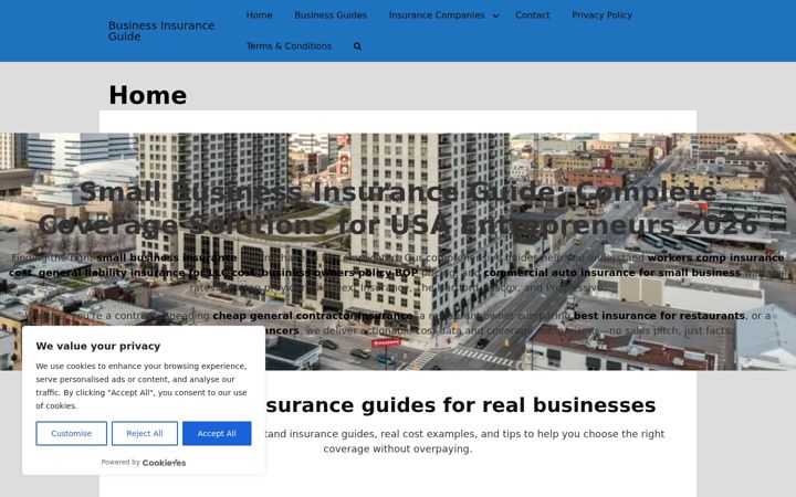 Snímek obrazovky businessinsuranceguide.net