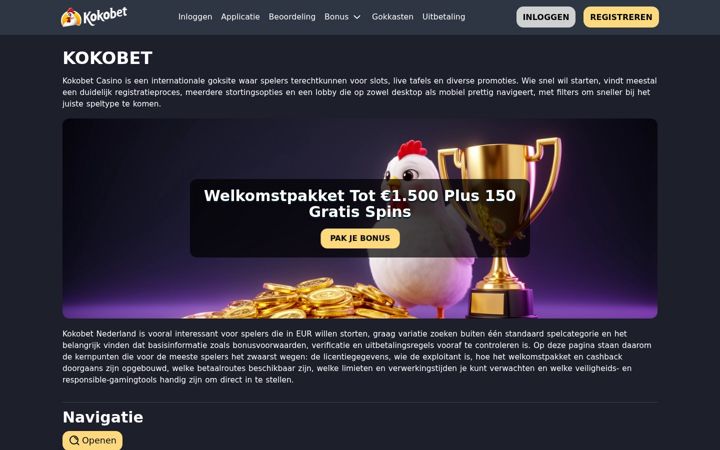 Screenshot of businessinwonderland.nl