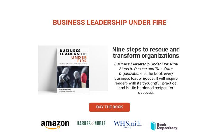 Screenshot of businessleadershipunderfire.com