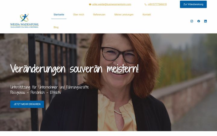 Screenshot of businessmentorin.com