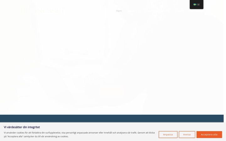 Screenshot von businesspt.fi