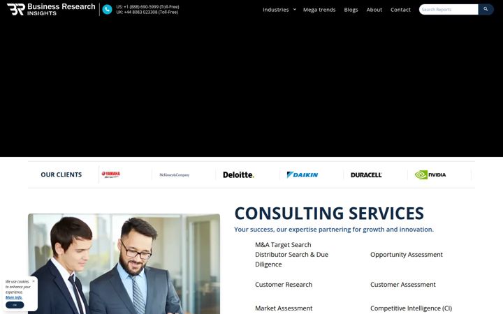 businessresearchinsights.com