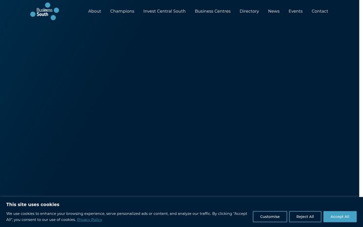 Screenshot of businesssouth.org