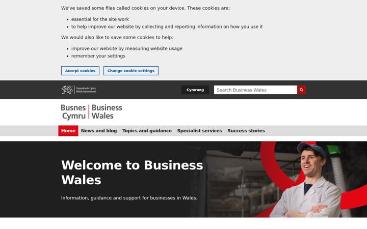 Screenshot of businesswales.gov.wales