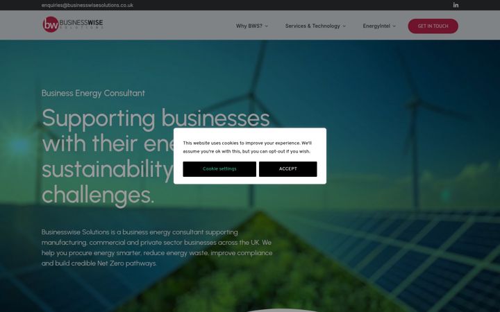 Screenshot of businesswisesolutions.co.uk