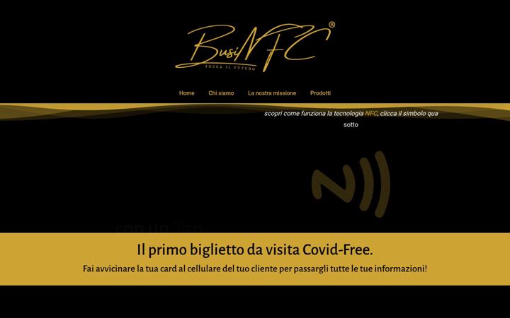 Screenshot of businfc.com