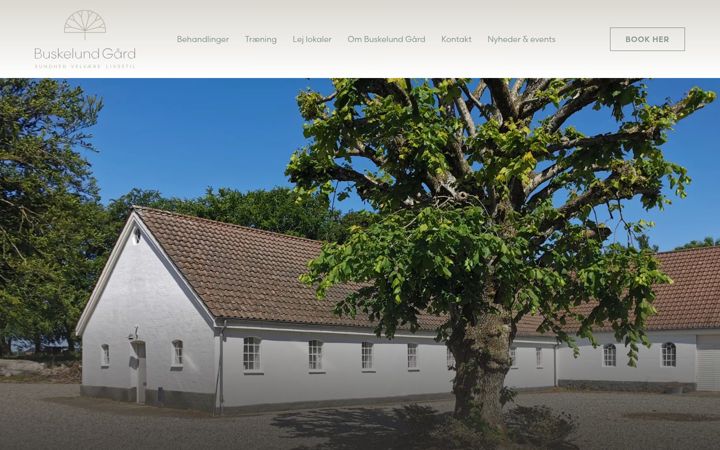 Screenshot of buskelundgaard.dk