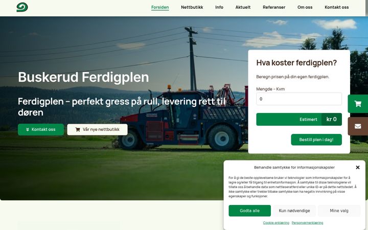 Screenshot ta' buskerudferdigplen.no