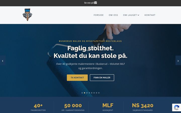 Screenshot di buskerudmalerlaug.no