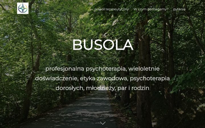 Screenshot of busola.net.pl
