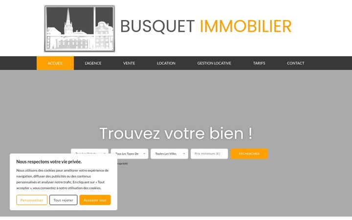 Screenshot of busquet-immobilier.com