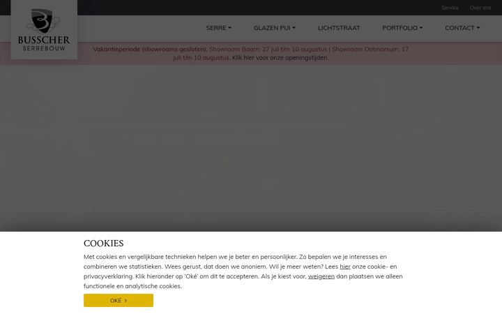 Screenshot of busscher-serres.nl