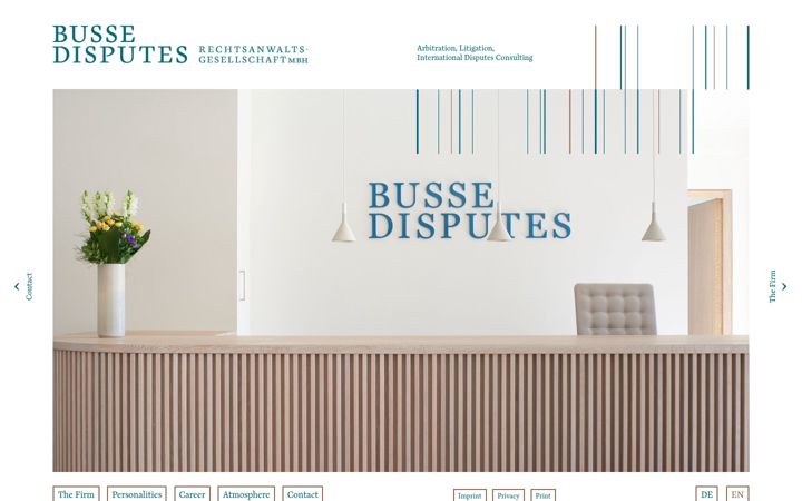 Screenshot of busse-disputes.com