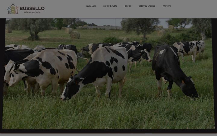 Screenshot of bussello.com