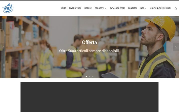 Screenshot of bussetoplastica.it