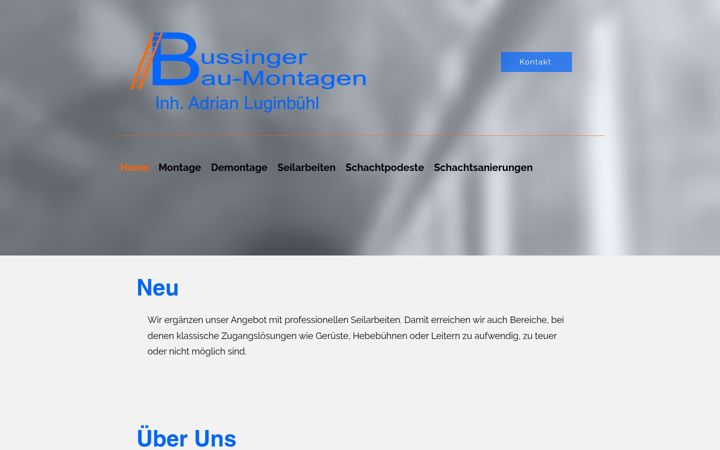 Screenshot of bussinger-baumontagen.ch